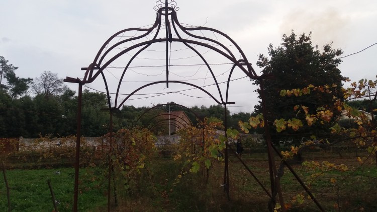 Estrutura antiga de suporte da vinha